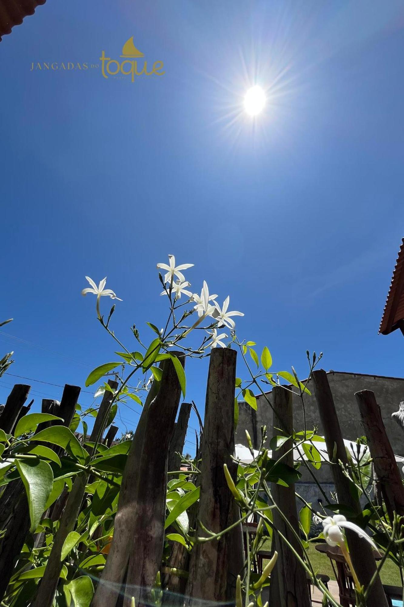 Jangadas Do Toque Milagres Flat 1 Terreo São Miguel dos Milagres 外观 照片